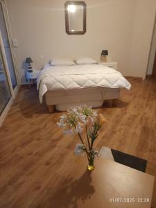 Appartements Grand appartement lumineux : photos des chambres