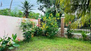 Transient villa with cozy garden, billiard & bar