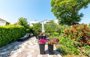 Lovely Apartment In Bibinje With Wifi