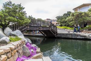 Aironi del Porto img35