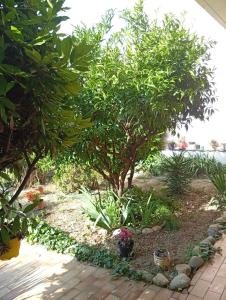 Appartement Maison Perpignan