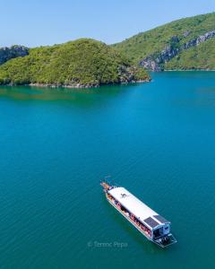 446 Tiny House Shirokë