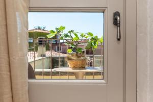 Bixinau Camere Museo img50