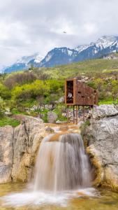 446 Tiny House Shirokë