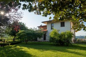 B&B Ulivo del Duca