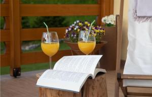 Awesome Home In Mrkopalj With Kitchen