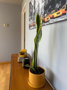 Luxury Promenade tower