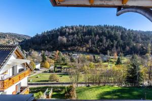 Apartment Todtmoos 4