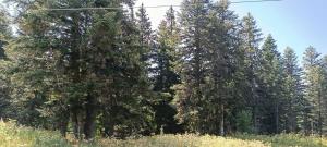 Appartement 2 chambres au pied des pistes et de lécole ESF