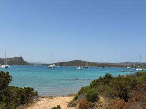 Aironi del Porto img40