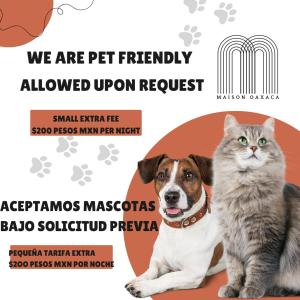 3 Bd house steps from Santo Domingo