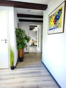 Schwert City Loft S64