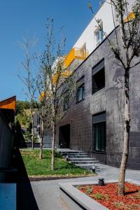 Evo Residence Oasului