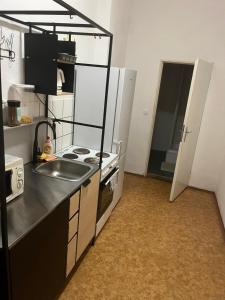 XXL Apartment Ideal for Large Families or Groups