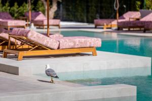 JADORE Secret Garden A&K Deluxe Studio