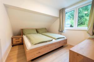 Ferienwohnungen Traunblick & Salzweg