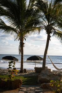 Samas Lasal - Hotel La Saladita