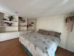 Private room in Lomas, Polanco