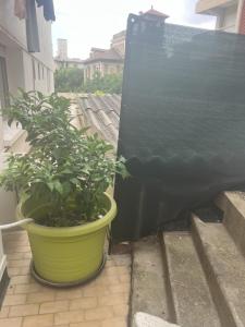 Sacré cœur