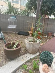 Appartements Sacre coeur : photos des chambres