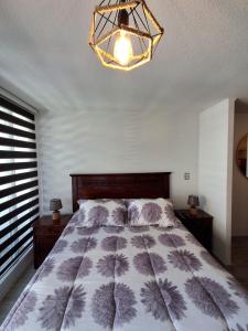 Apartment in Santiago