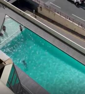 T2 Apartment Eugenie Ocean View Grande Plage and Pool