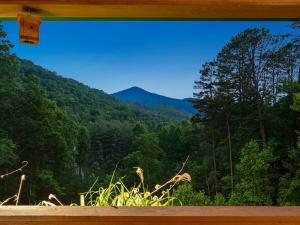 Mountain Air Hot Tub-Fire Pit