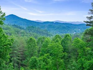 Mountain Air Hot Tub-Fire Pit