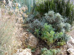 Apartment in Barbat - Insel Rab 33077