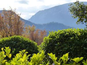 Maisons de vacances Pet-Friendly Home w Garden : Maison de Vacances 3 Chambres 