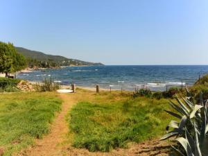 Maisons de vacances Cottage in Corsica with Garden Terrace : photos des chambres