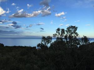 Maisons de vacances Holiday home in southern Corsica : photos des chambres