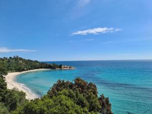 Maisons de vacances Holiday home in southern Corsica : photos des chambres