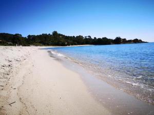 Maisons de vacances Holiday home in southern Corsica : photos des chambres