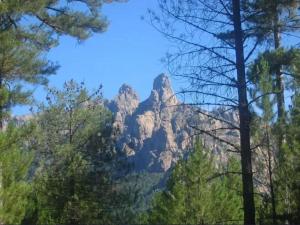 Maisons de vacances Holiday home in southern Corsica : photos des chambres