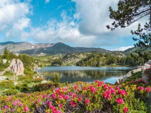 Maisons de vacances Peaceful Pyrenees Retreat : photos des chambres