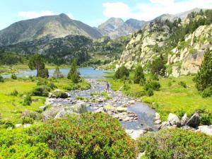 Maisons de vacances Peaceful Pyrenees Retreat : photos des chambres