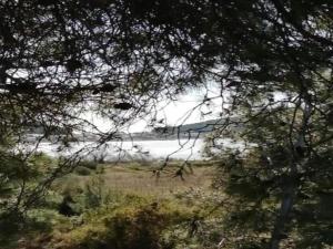 Maisons de vacances Villa in Les Hauts du Lac with Lake View : photos des chambres