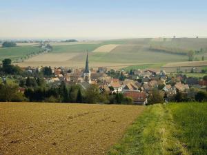 Appartements Holiday flat in Morschwiller : photos des chambres
