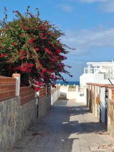 Las Olas Corralejo beach