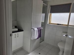 Pelicans Albany Middleton Beach