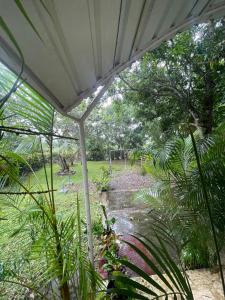 hacienda day pass alvarez & jacobs