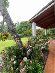 hacienda day pass alvarez & jacobs