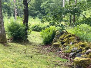 Peaceful Forest Retreat with Cottage