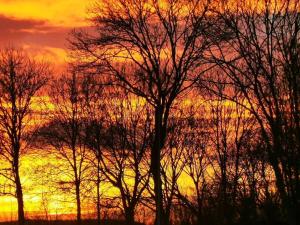 Quietly located holiday home in Zeeland