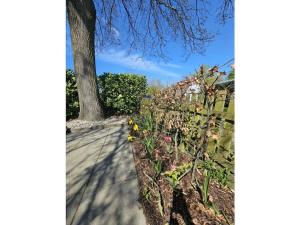 Quietly located holiday home in Zeeland