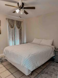 Vintage Family House