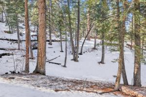 Wolf Cub Cabin#1946