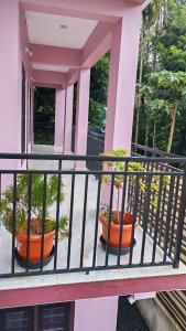 Voyagers Nest Wayanad