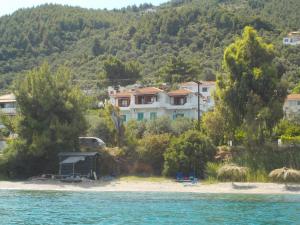 Azalea Skiathos Greece